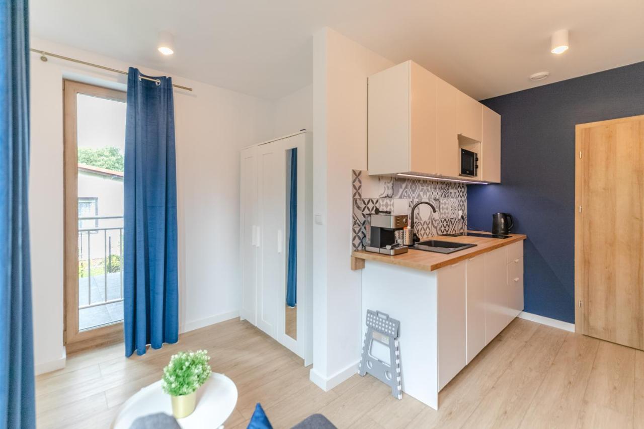 Apartamenty Pod Orzechem Z Duzym Ogrodem - Dream Apart Ustroń Eksteriør billede
